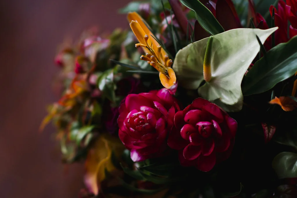 twolittlebirdsphotography2016-137.jpg