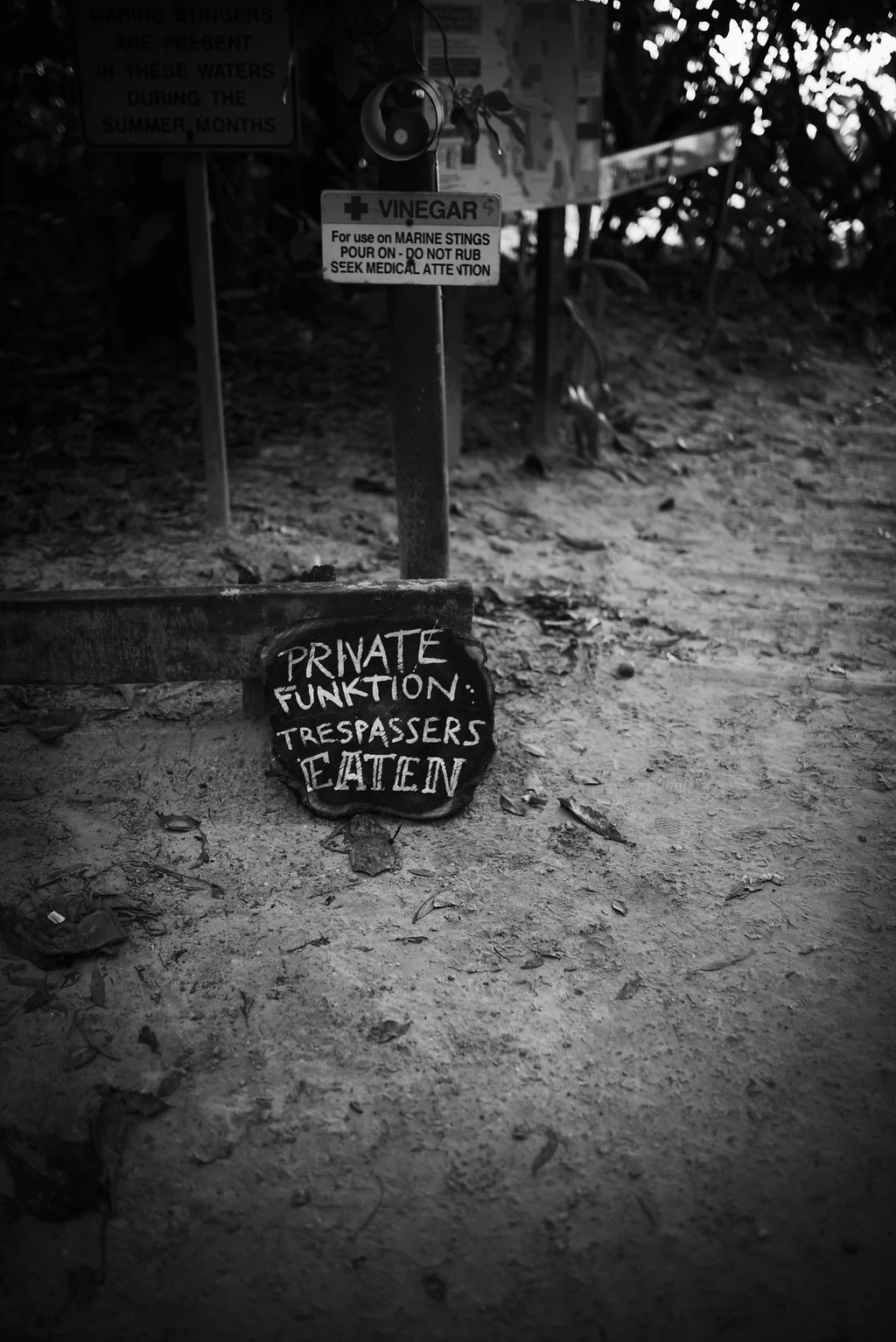 twolittlebirdsphotography2016-314.jpg