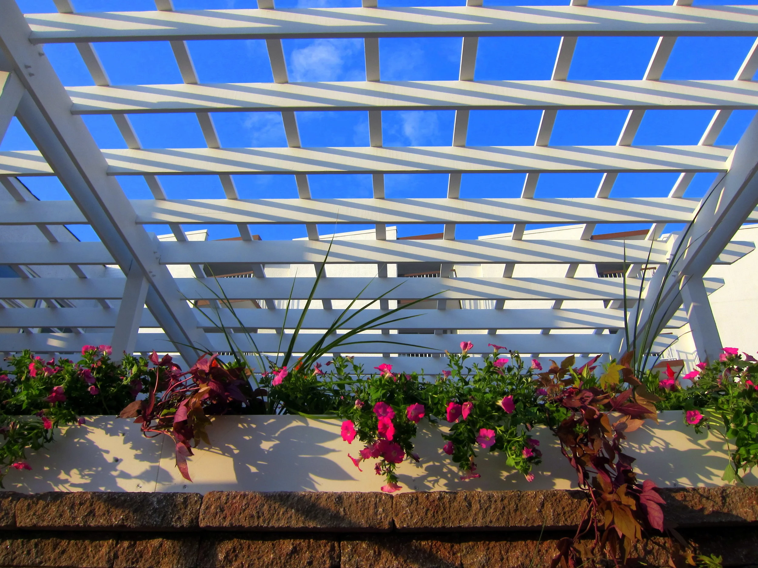 Icona Hotel, Diamond Beach