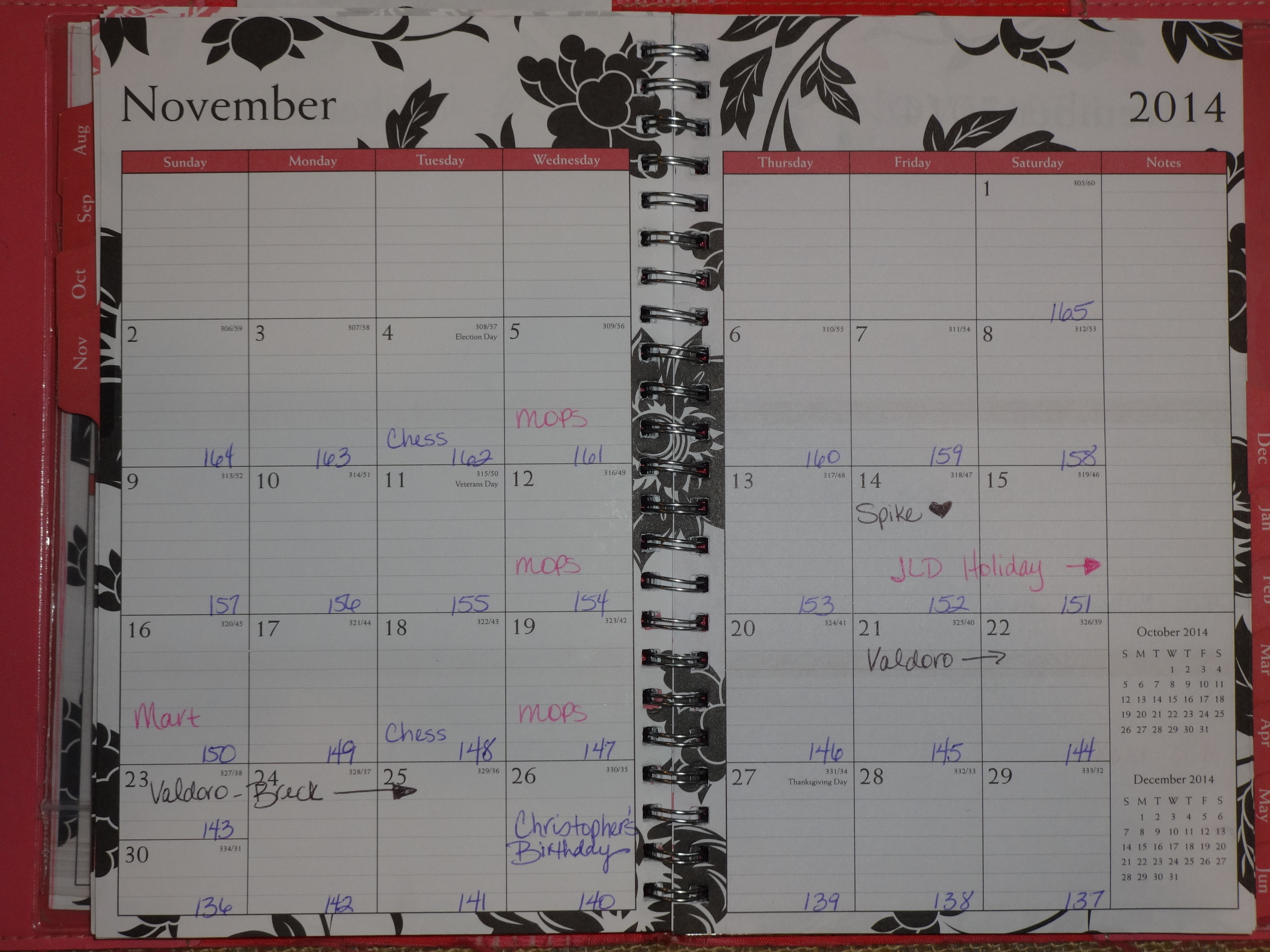 The paper version of my calendar. As you can see we went up to Breckenridge, I had the Junior League of Denver Holiday Mart, my son Christopher had a birthday and my sweet cat Spike died on the 14th. As of the end of the month I had 136 days left in my countdown!