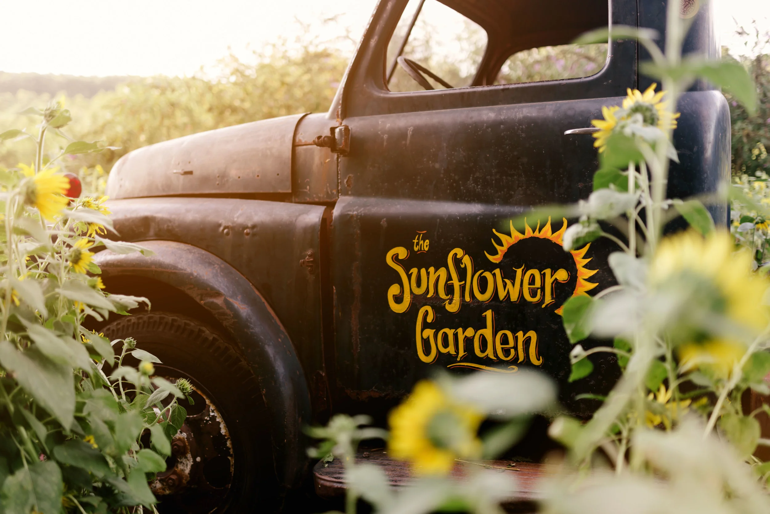 Shunkwiler Photo Maryland Engagement Session