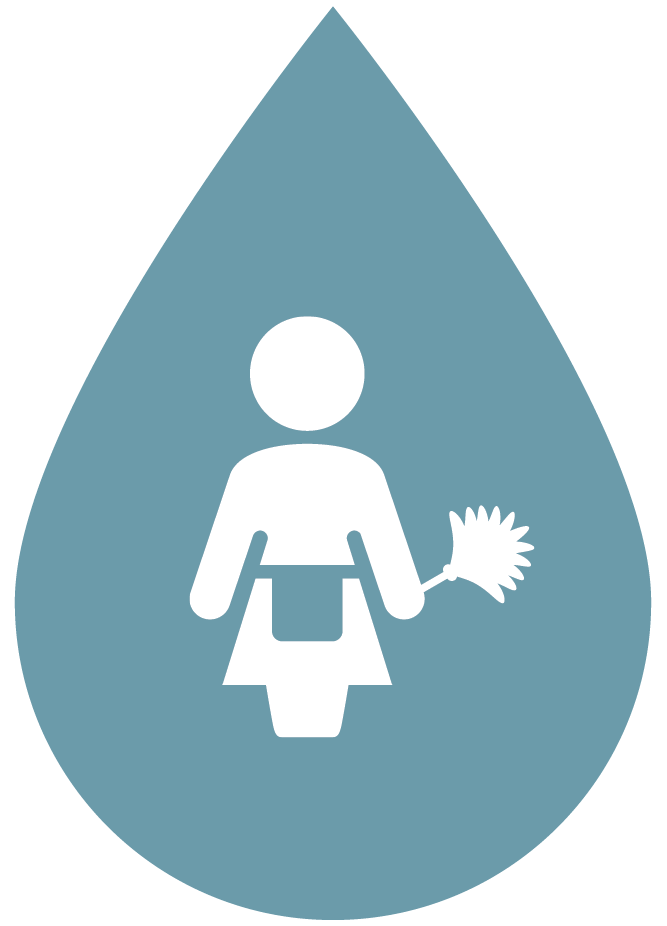 Domestic Cleaning
