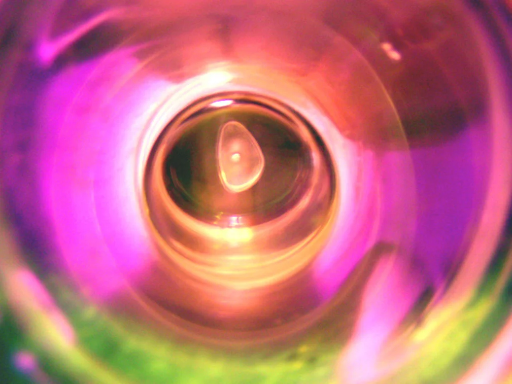 Project works by Carol Saldana all rights reserved