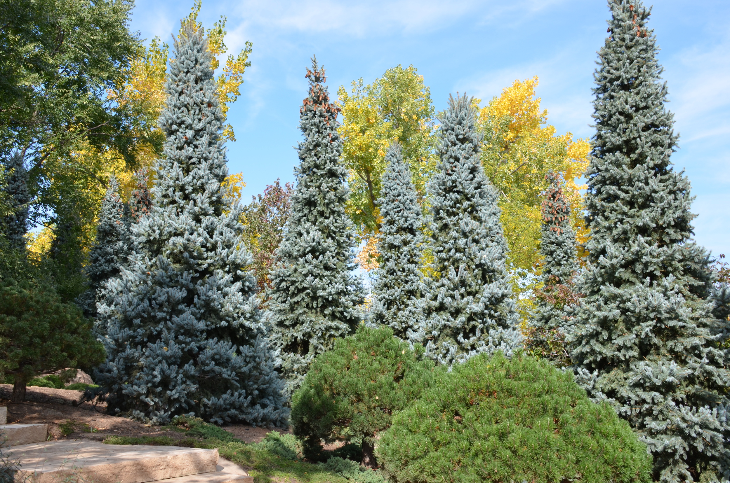 DSC_1604.jpg