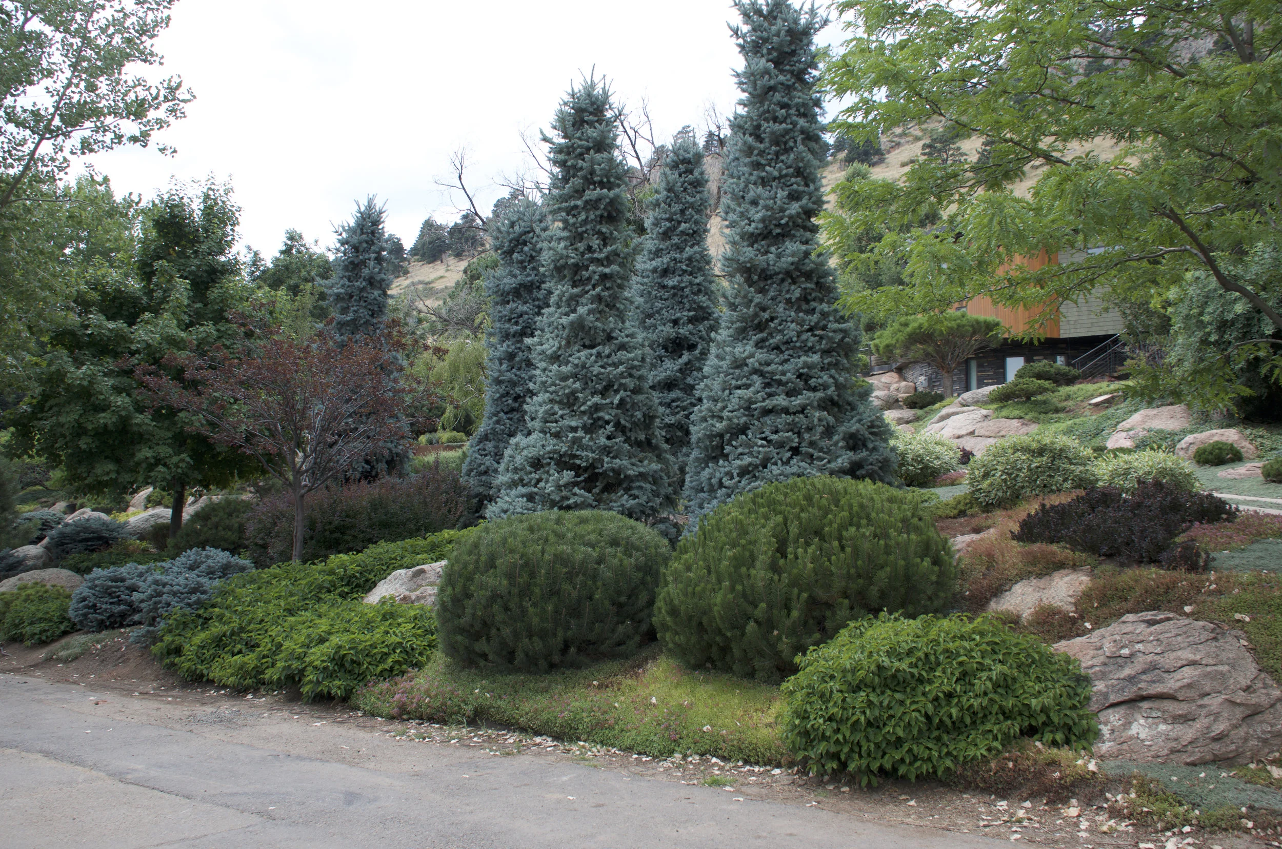 DSC_6689.jpg