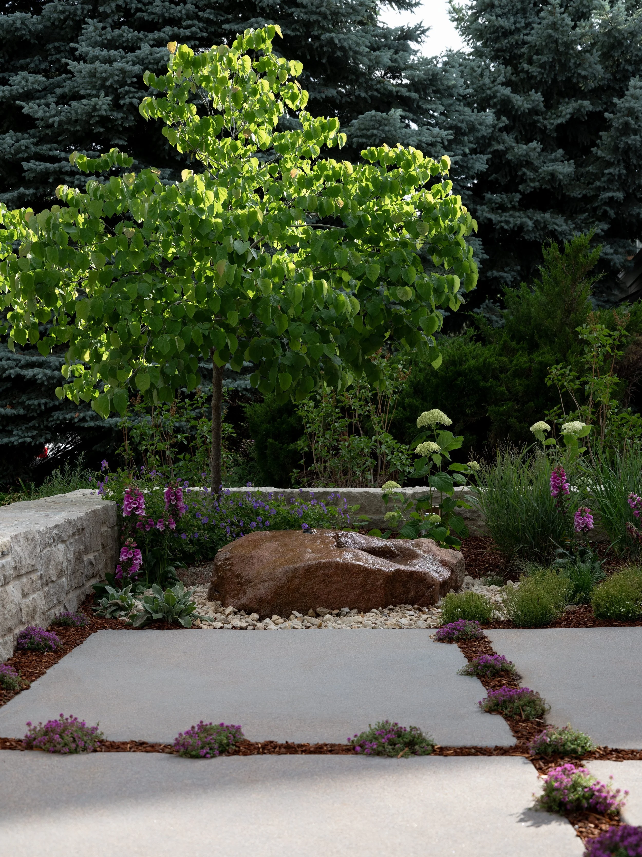 SurroundArch_Sunset-Exterior-Landscaping-Front-Water-Feature.jpg