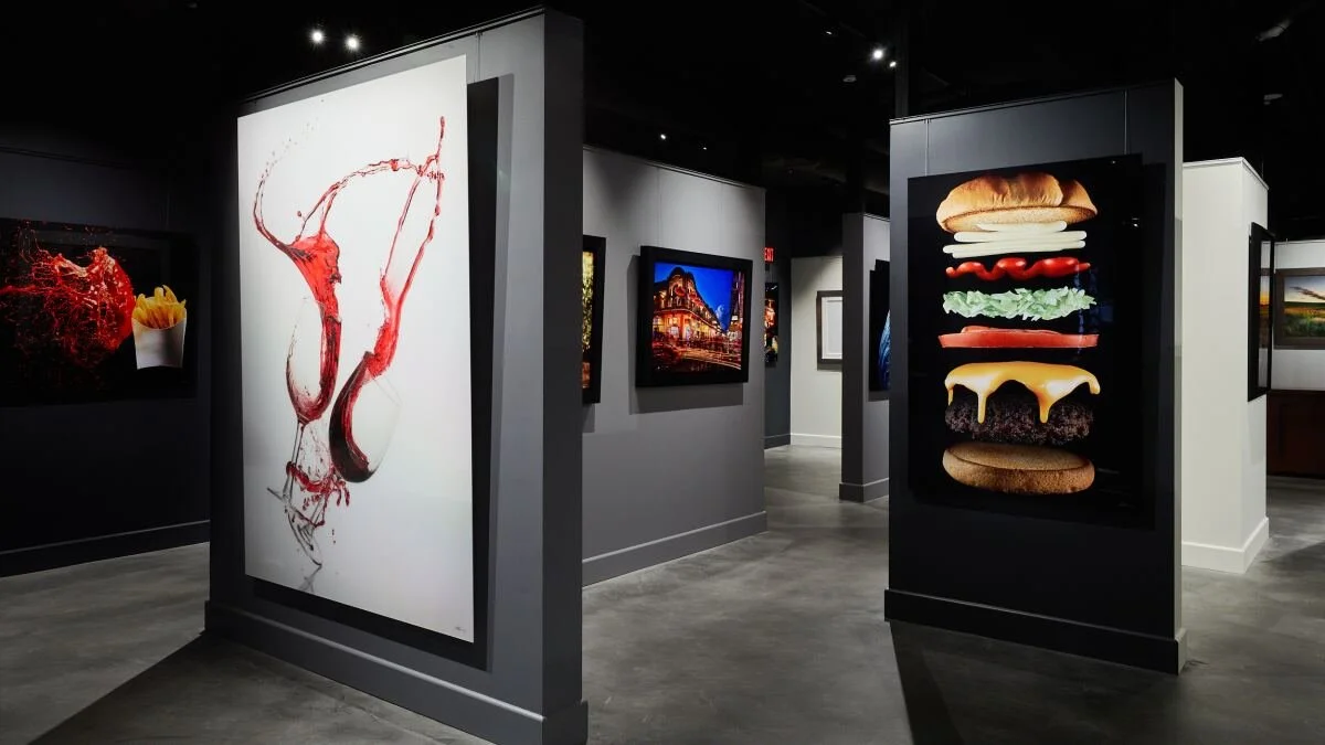 Modernist Cuisine Gallery