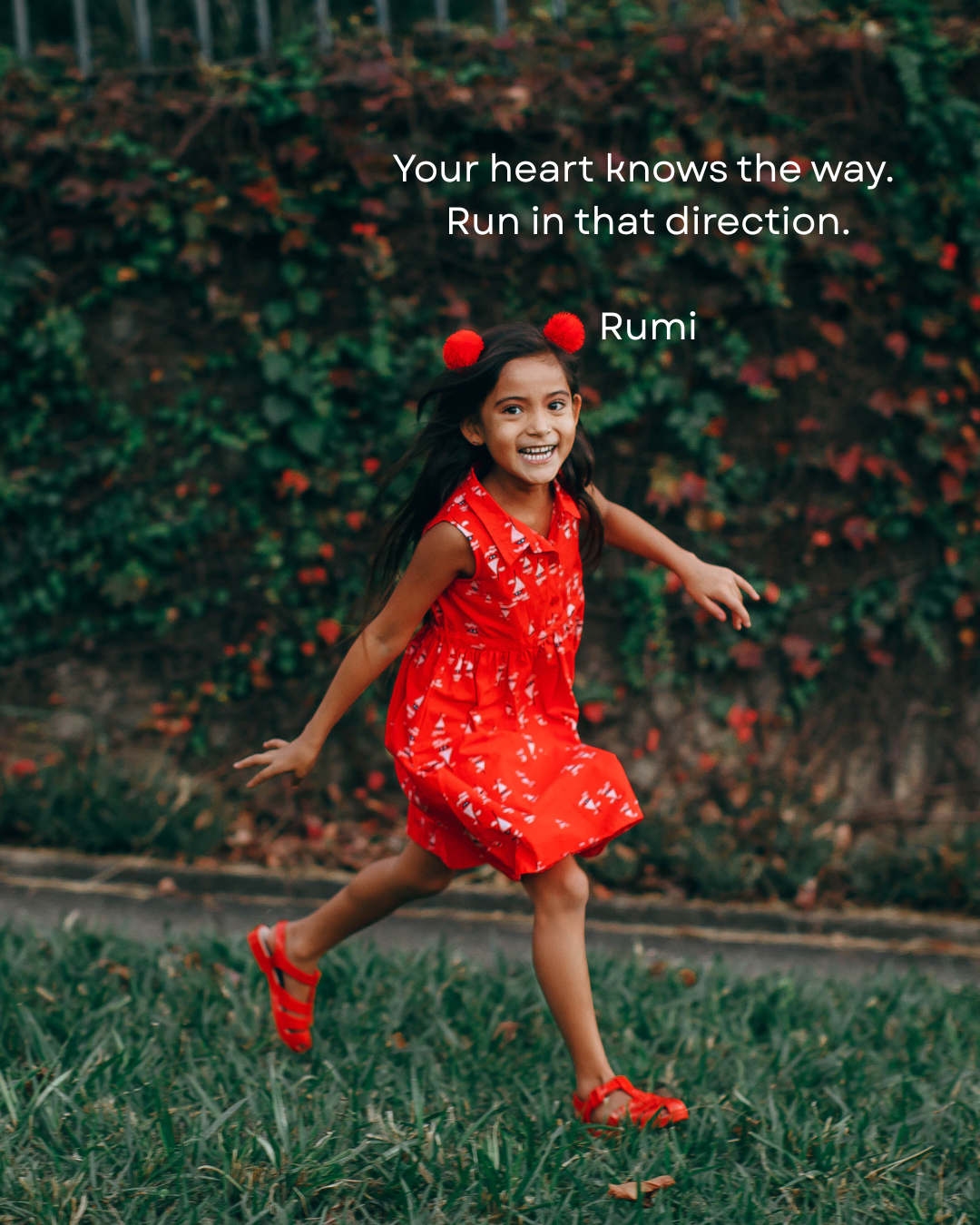 Your heart knows the way, run in that direction. Rumi.png