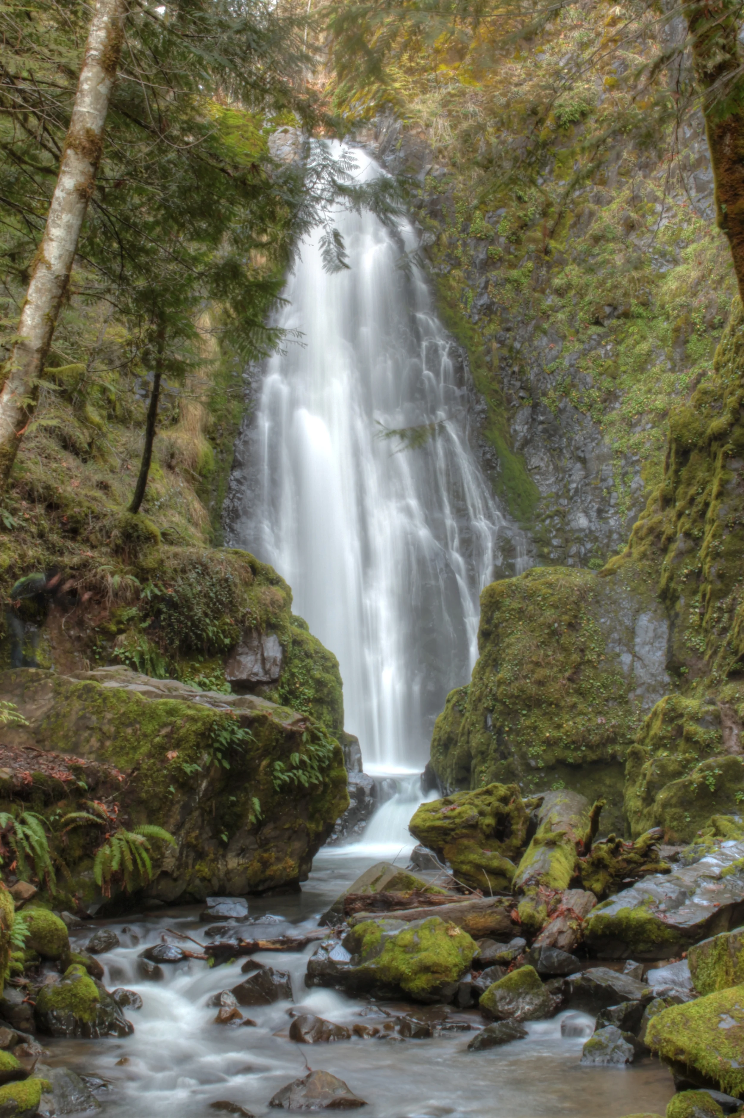 IMG_8136_2_tonemapped.jpg