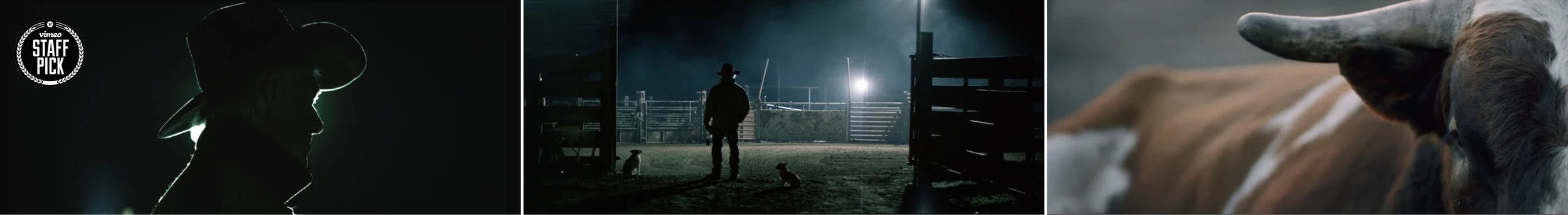 Bull Rider Thumbnail.jpg