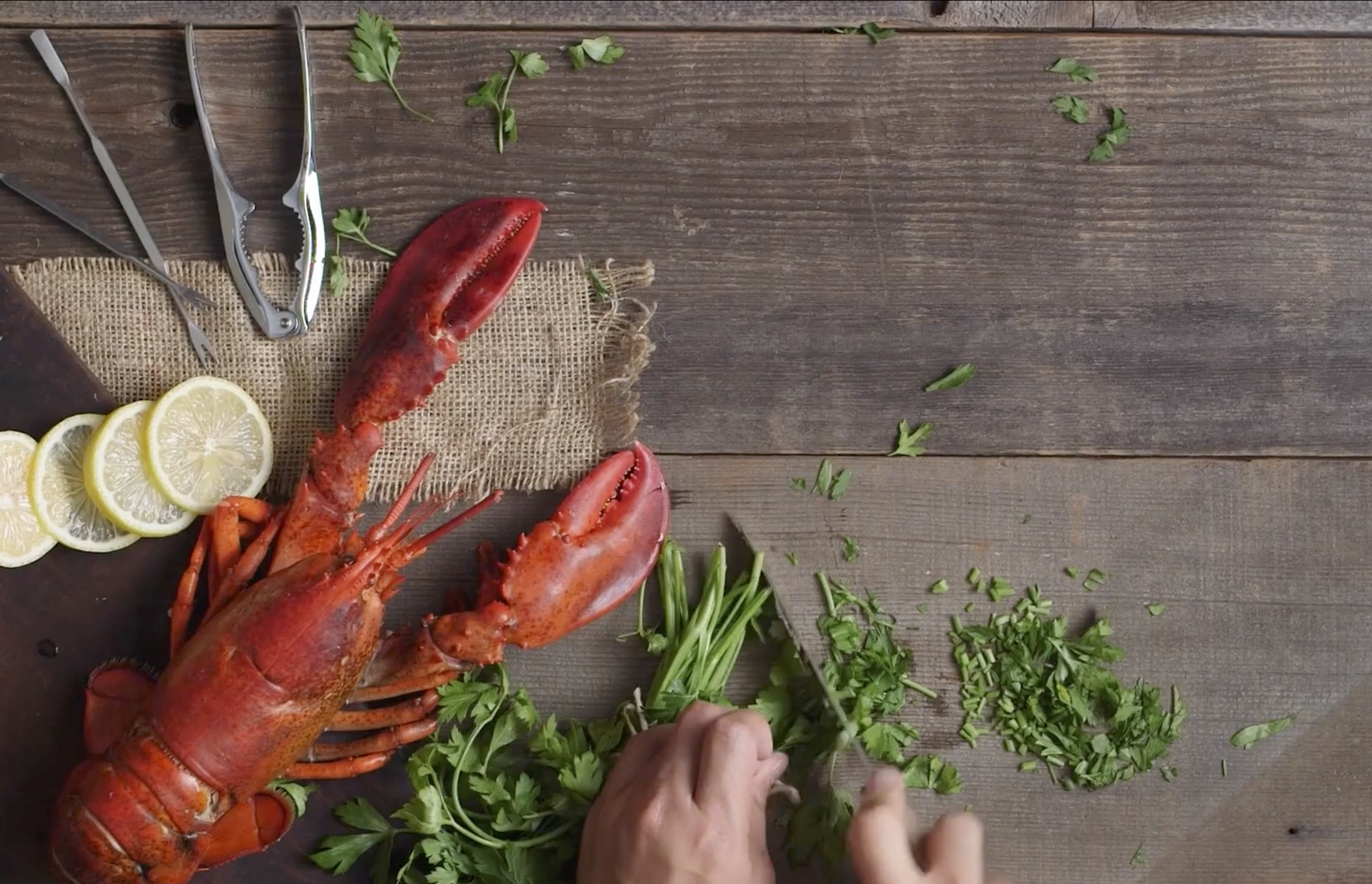 Screen Shot 2023-01-09 at 3.55.08 PM.png