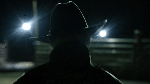 bullrider169.gif