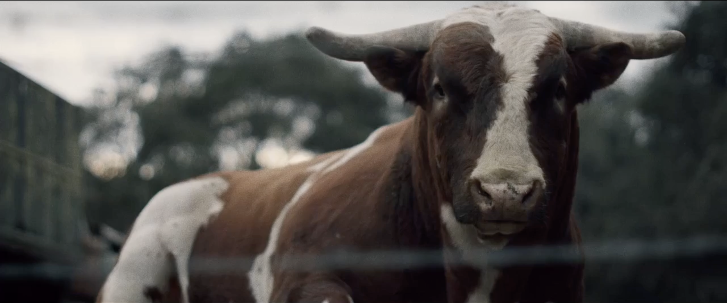 Screenshot 2024-01-22 at 8.51.29 AM.png