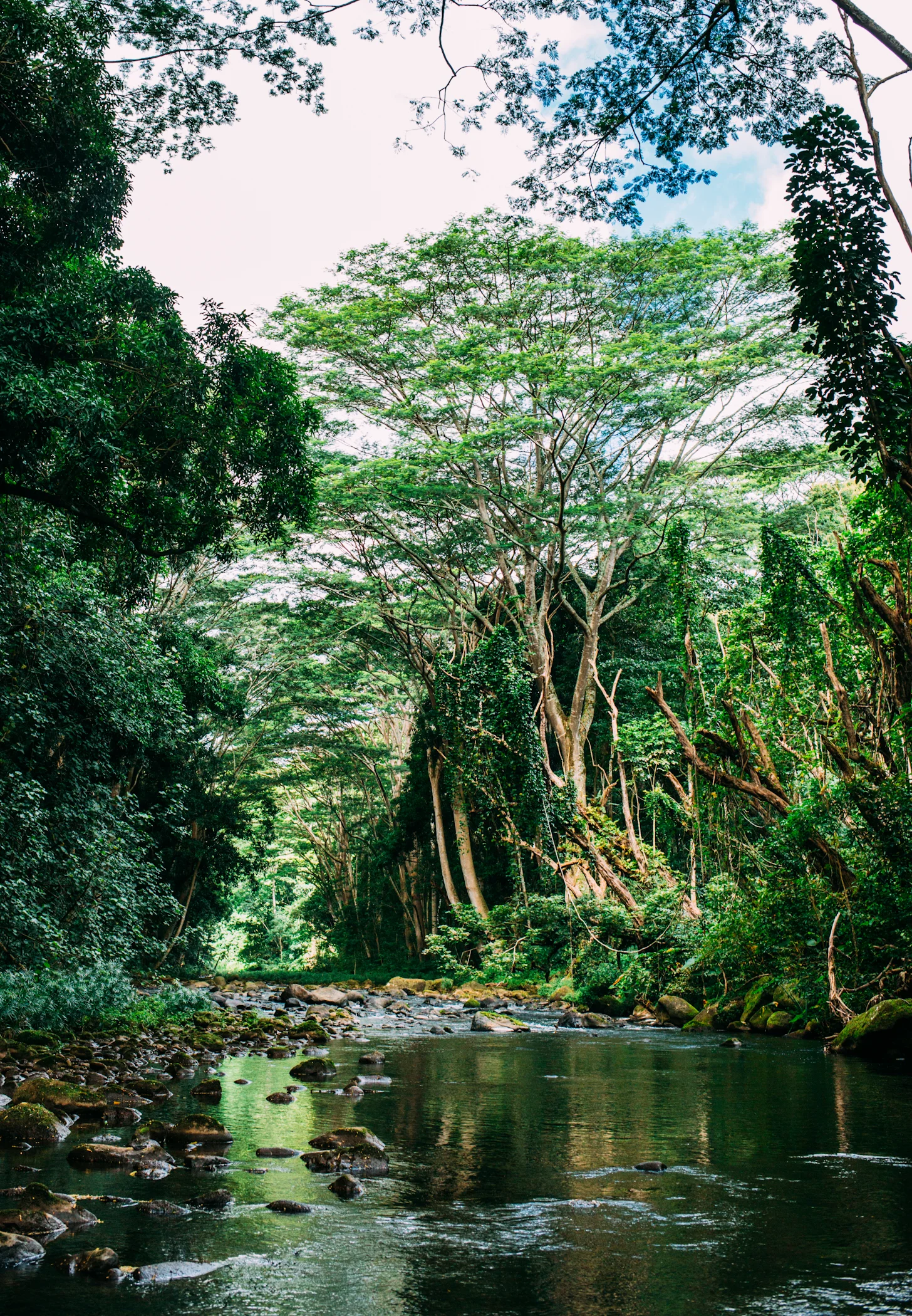 kauai-50.jpg