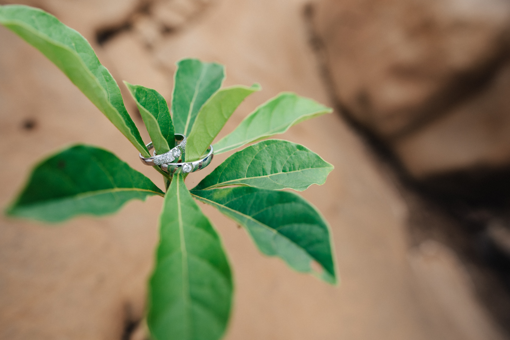 Quang-Truc prewedding-1870.jpg