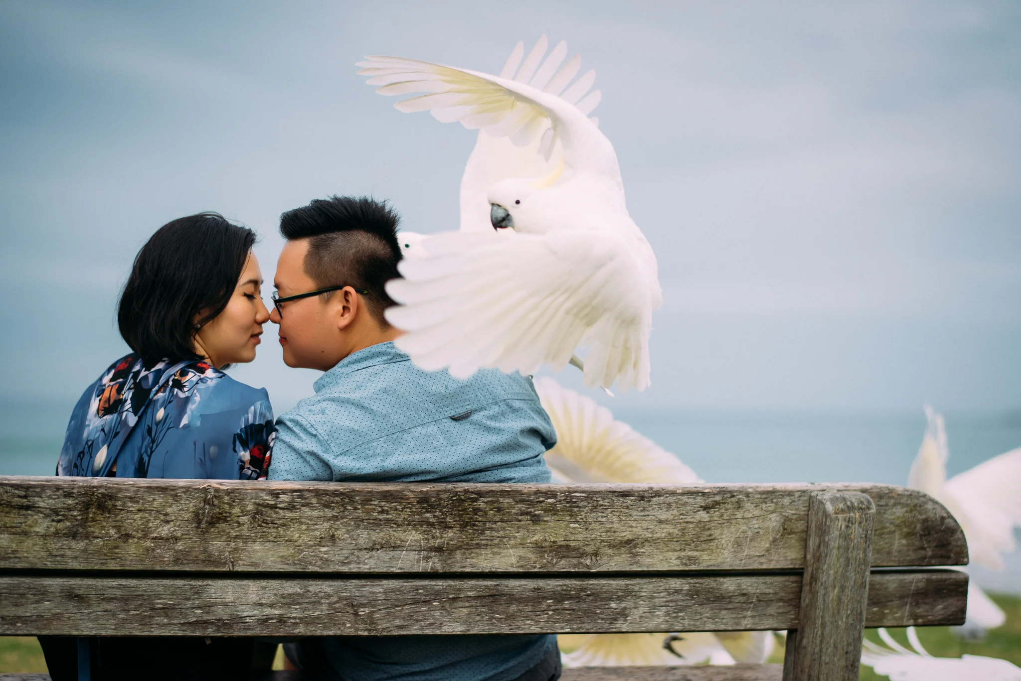 Loc-Trang | Aus-95-Edit.jpg