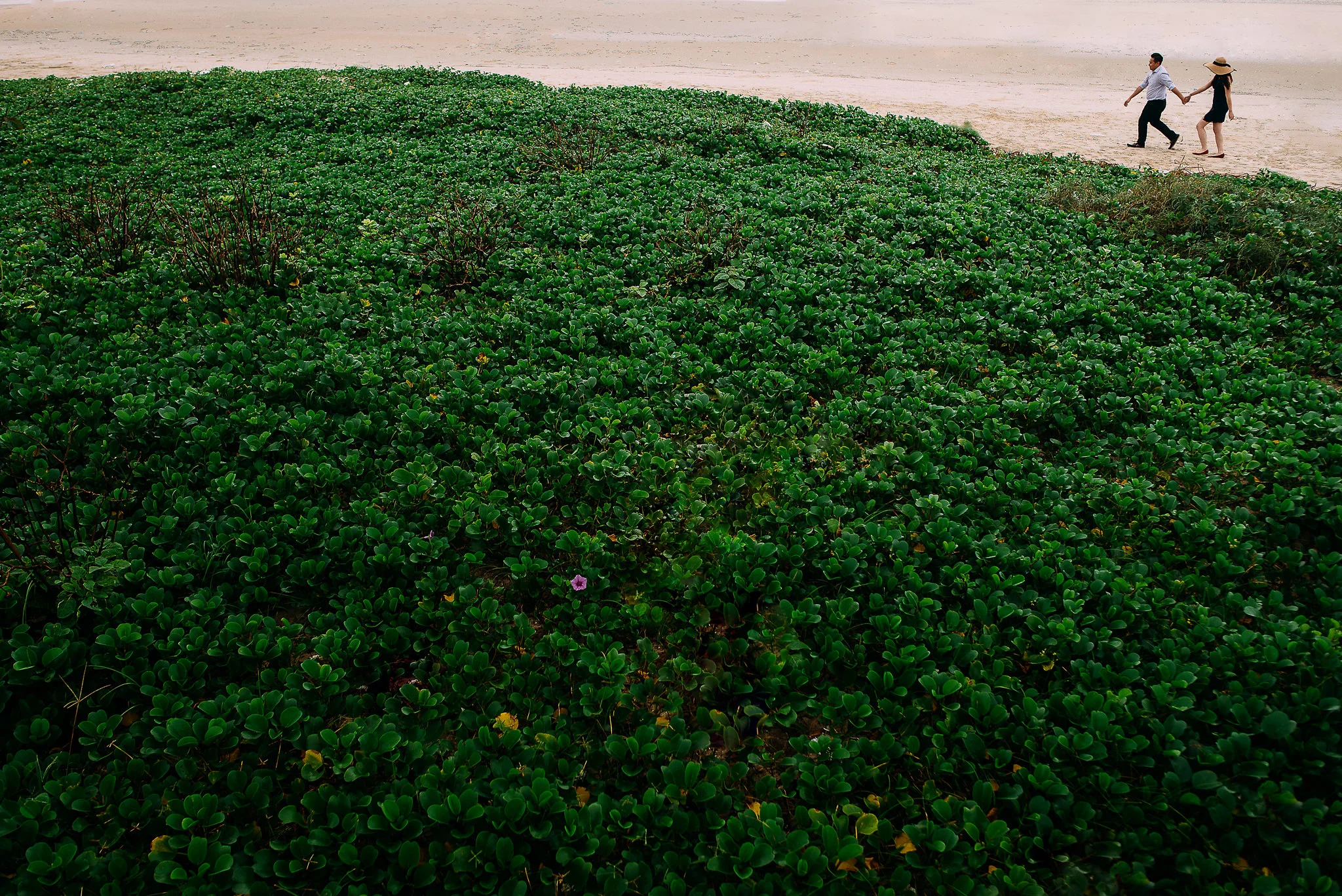Thắng - Vy | pre-92.jpg