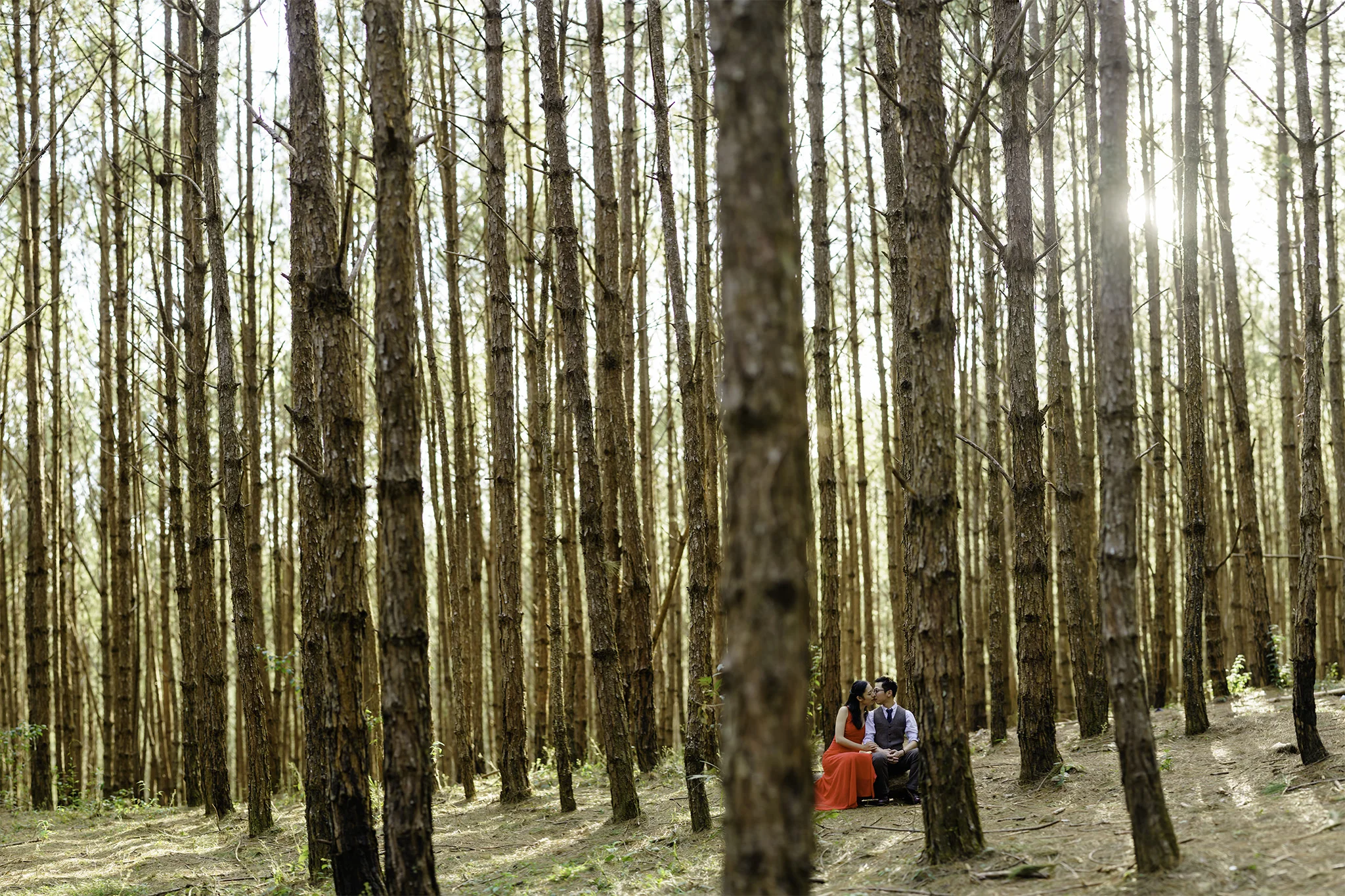 BIM00436-Pano-Edit.jpg