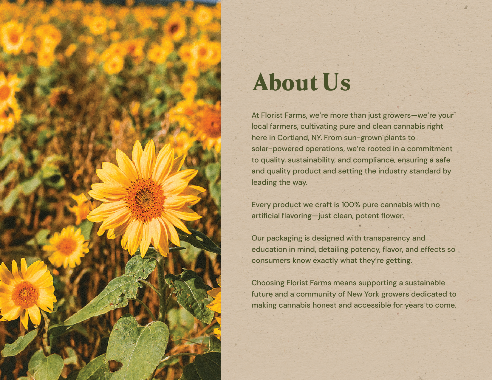 FF_Brand-Guide_03-About Us.png