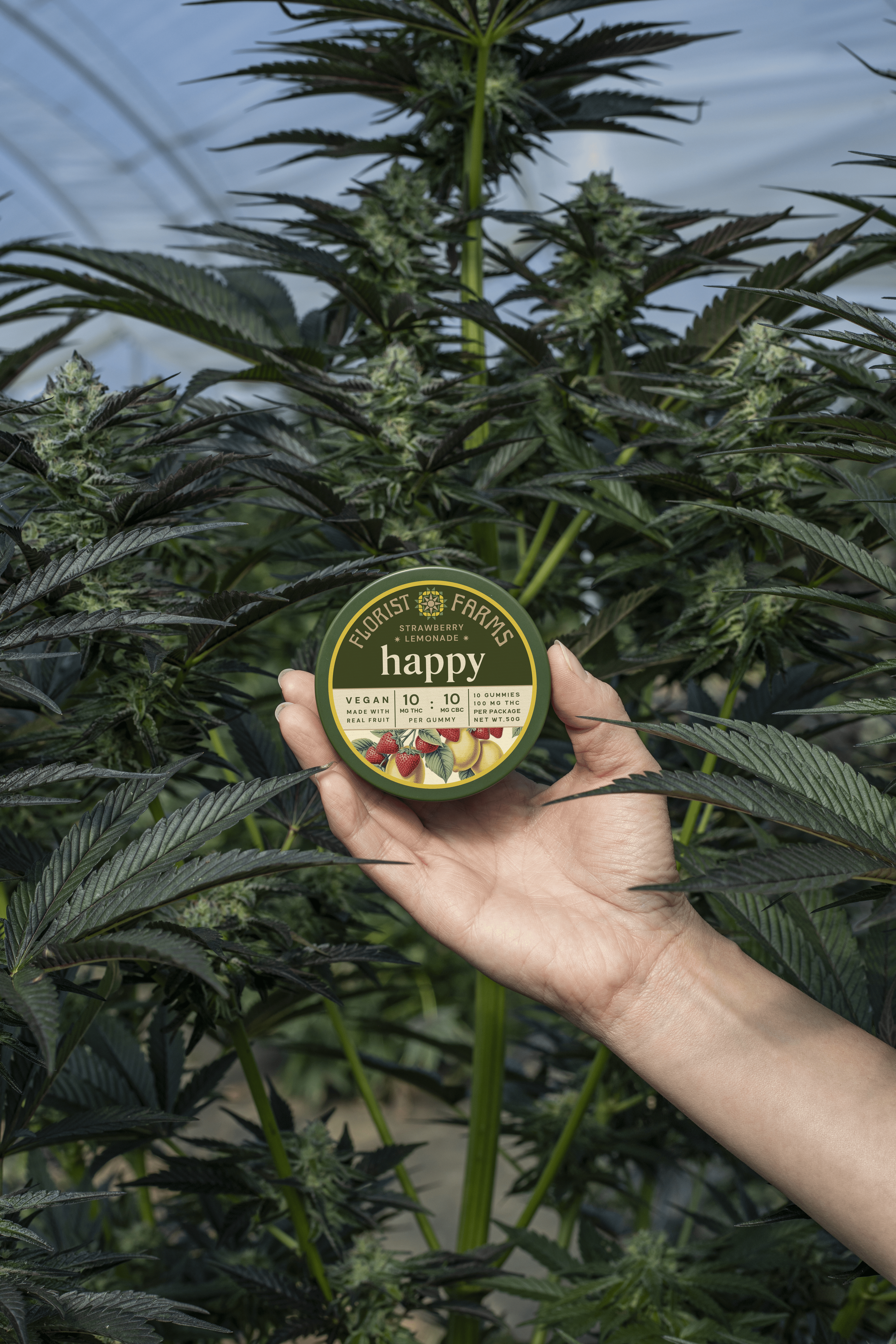 FF_NEWPackaging_Gummies_Strawberry-Lemonade_0616 copy.png