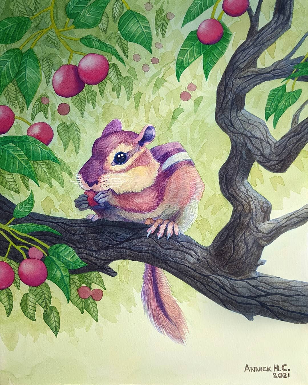 Chipmunk from Inman Park.

Another rodent that's everywhere in my neighborhood. Today two of them almost ran over my feet chasing each other while I was sitting in my yard.

The original painting measures 11"x13". It was done using watercol