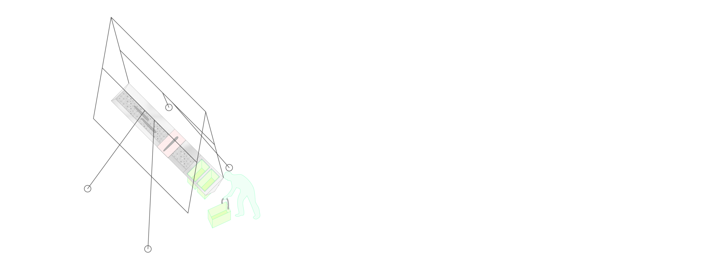 Pokere Eelers Park_Eel Washing.png