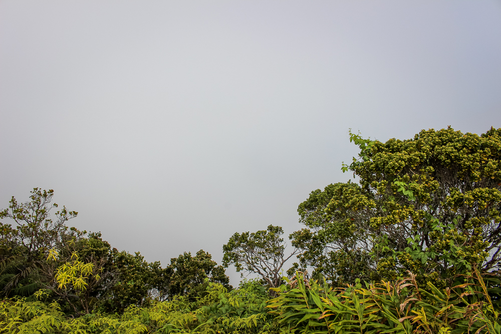 At least, we imaged it would be spectacular; this was our view when we arrived!