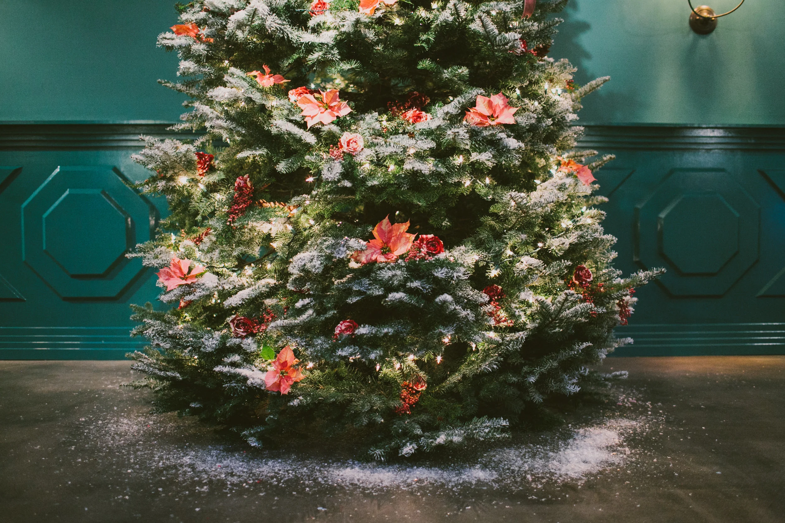 jollyholiday-47.jpg