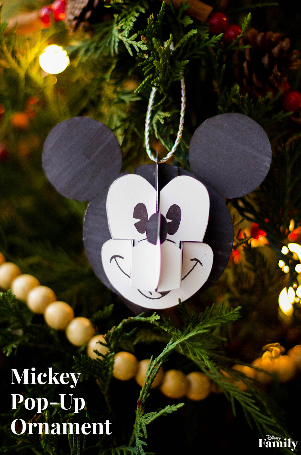 Crafts-Mickey-Popup-Ornament-PIN.jpg