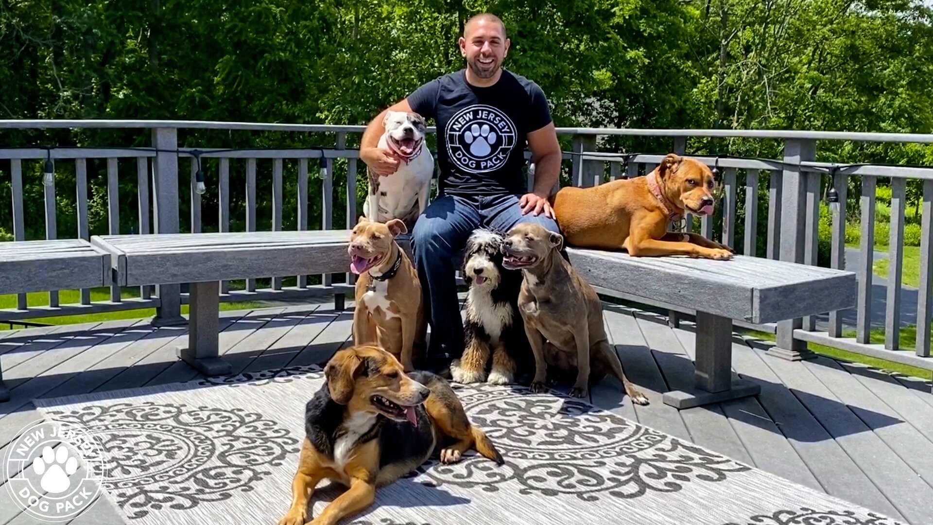 Bucks Dog Training of Central New Jersey