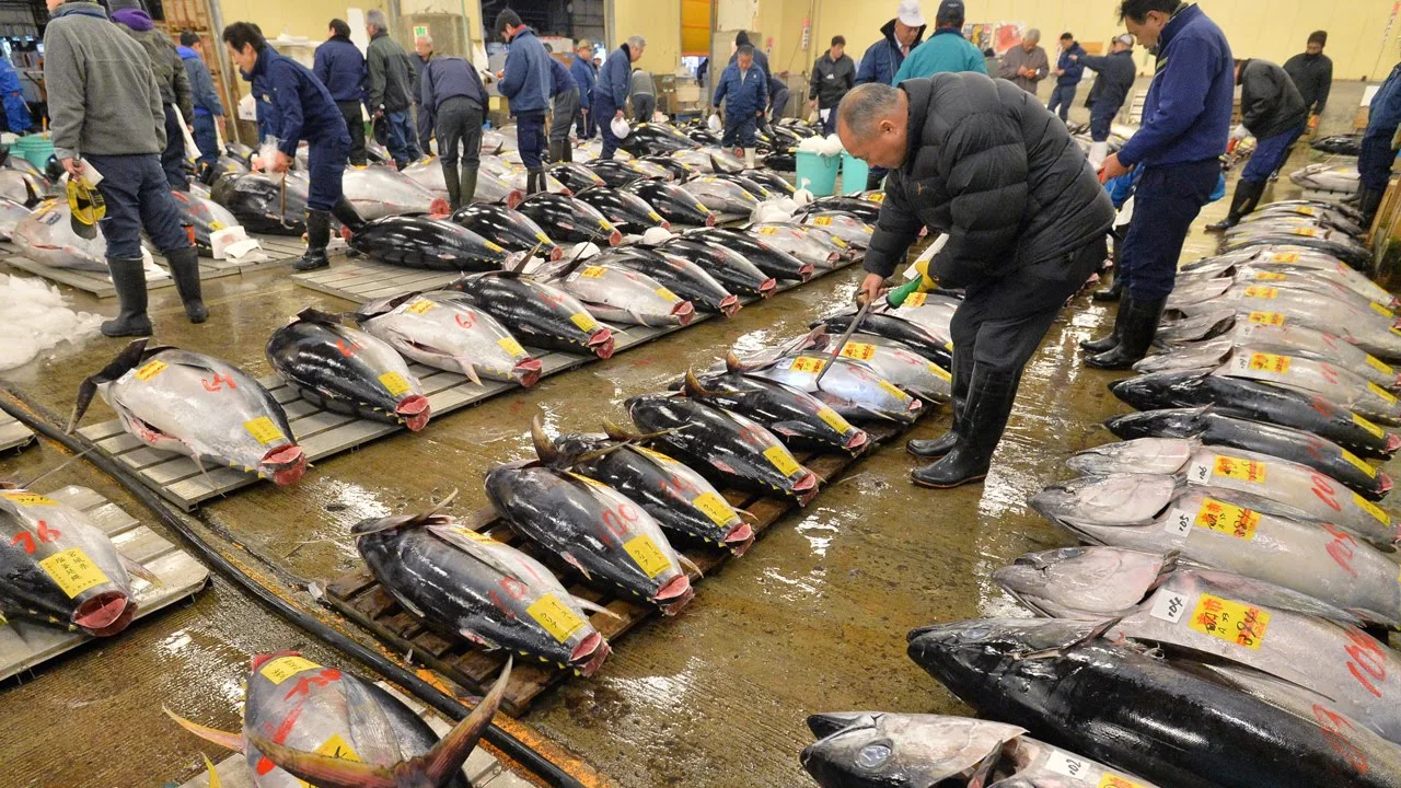 How to Enjoy the Tsukiji Fish Market
