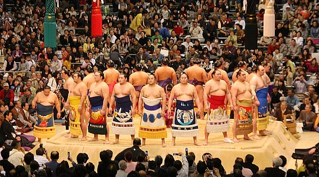 Sumo Wrestling Tournament Viewing Tips