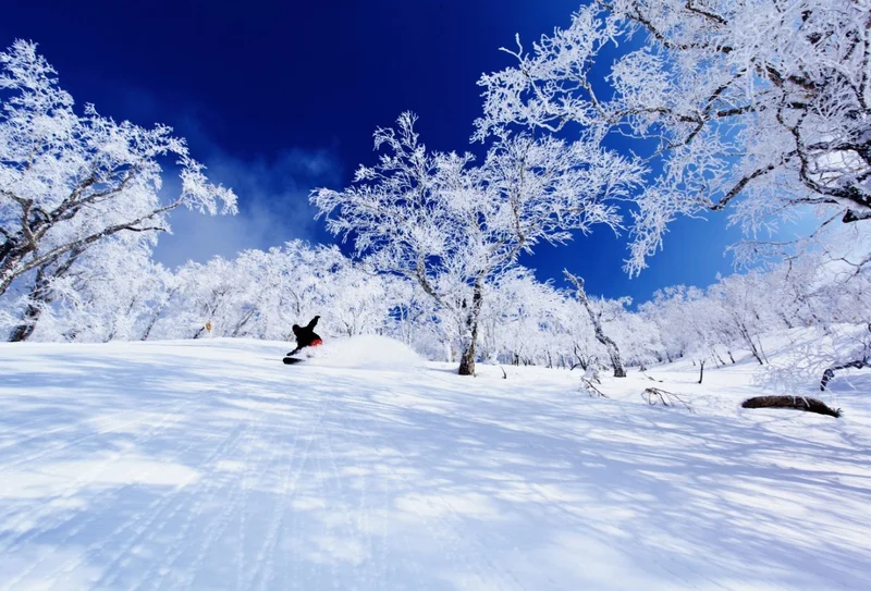 rusutsu-ski-image-1.jpg