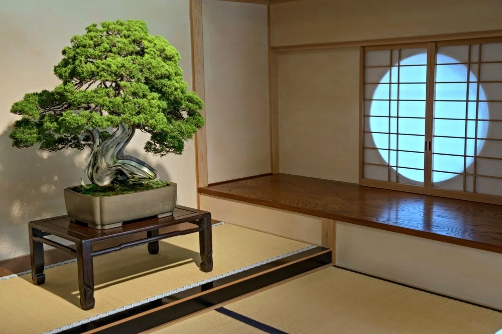 The Art of Japanese Bonsai