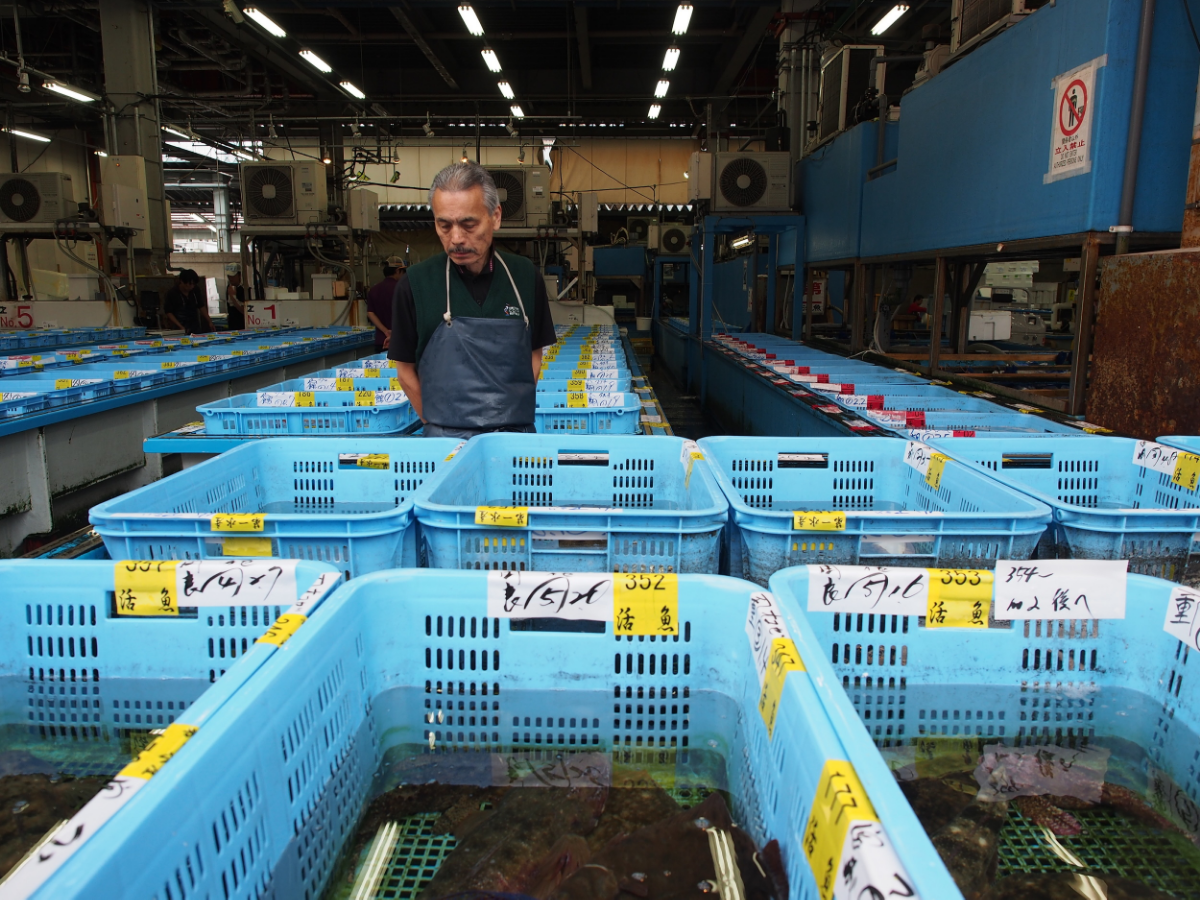 Regular fish auction