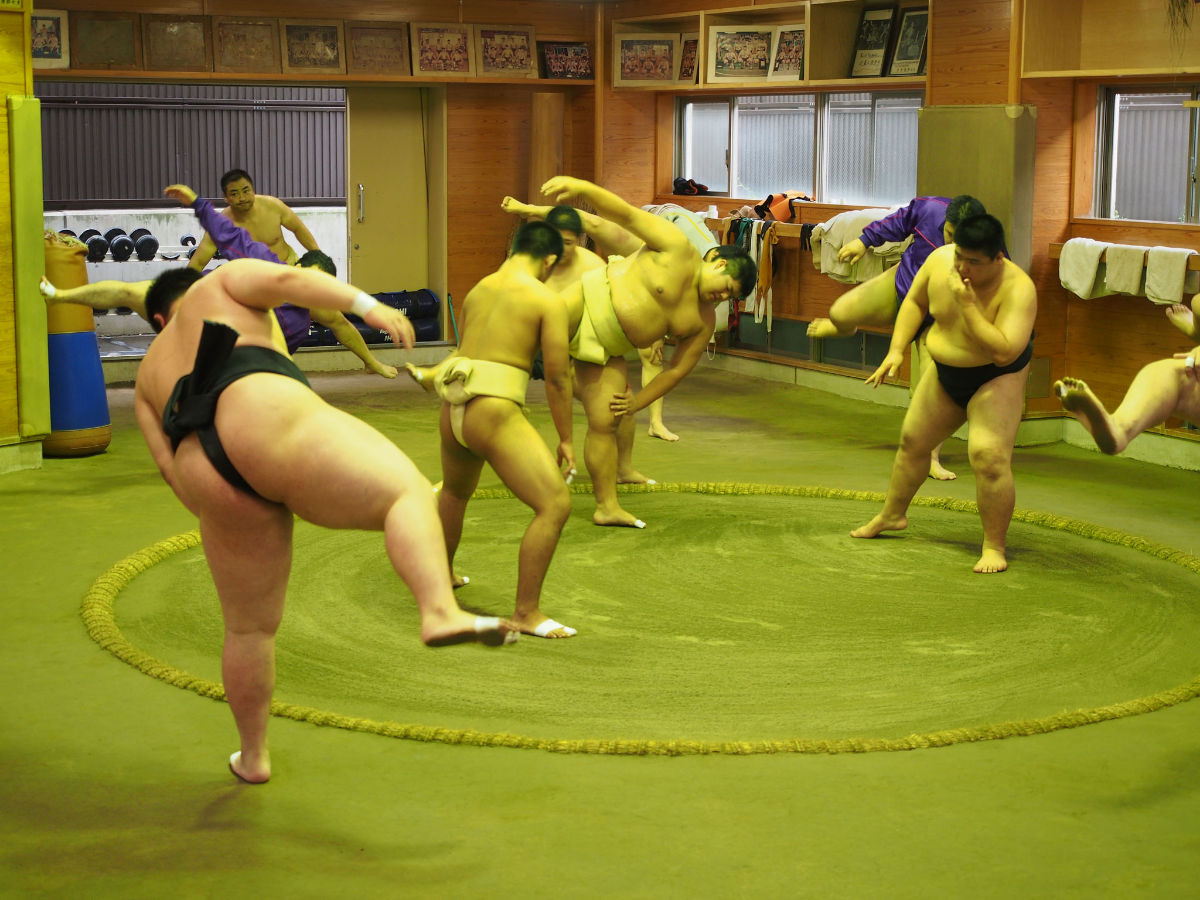 Sumo training session. ©TOKI