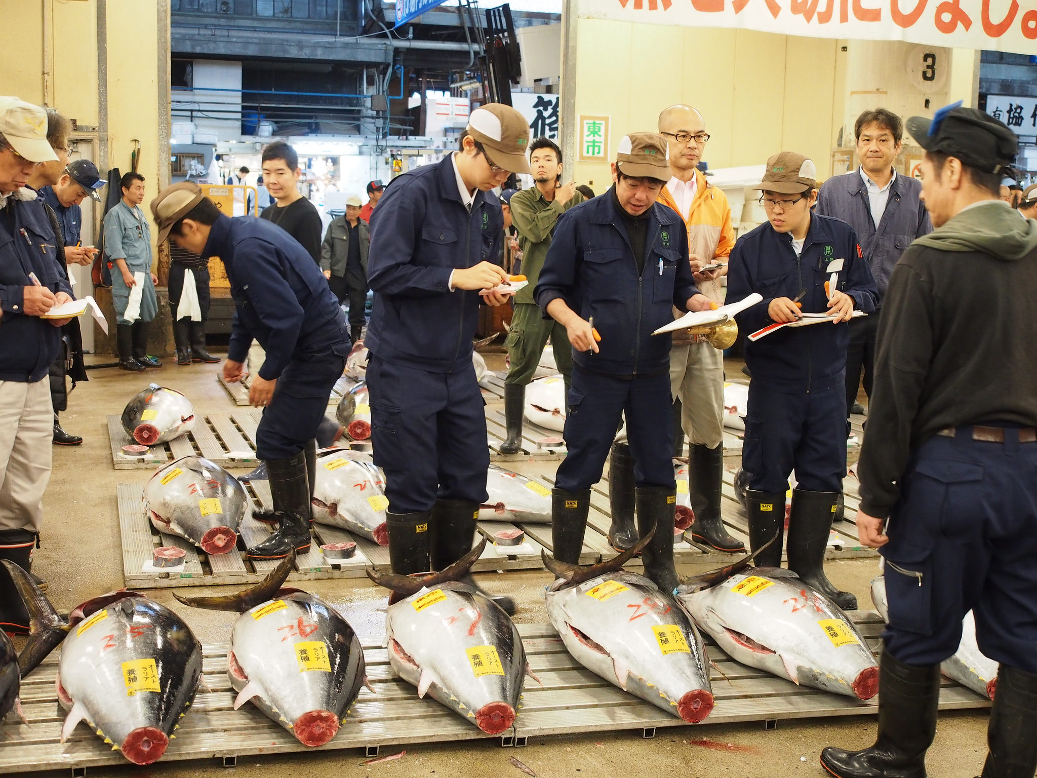 UPDATED: Goodbye, Tsukiji! Countdown Until Big Relocation