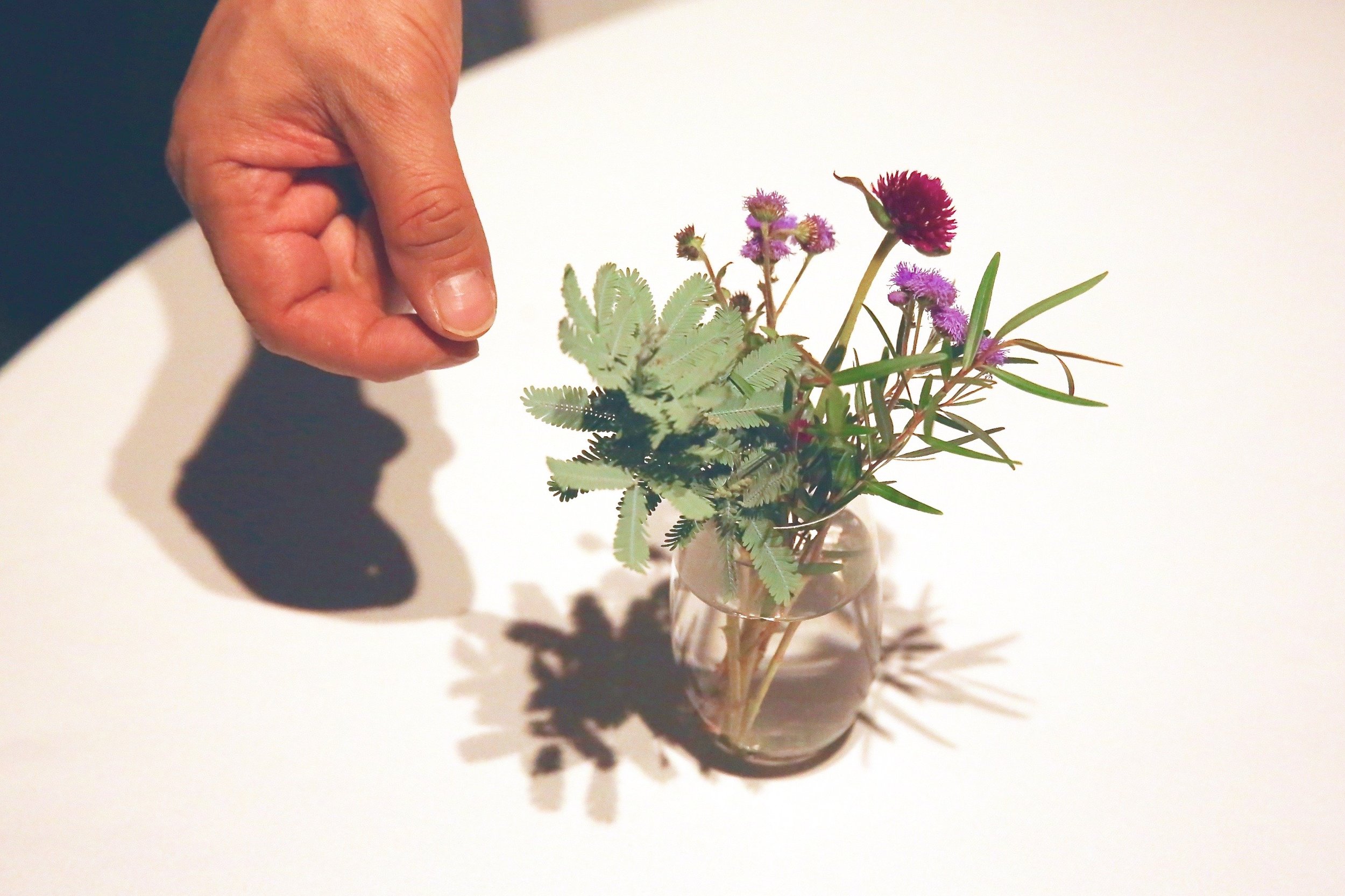 Namae explained that even the decorative flowers on the table are organic. ©TOKI
