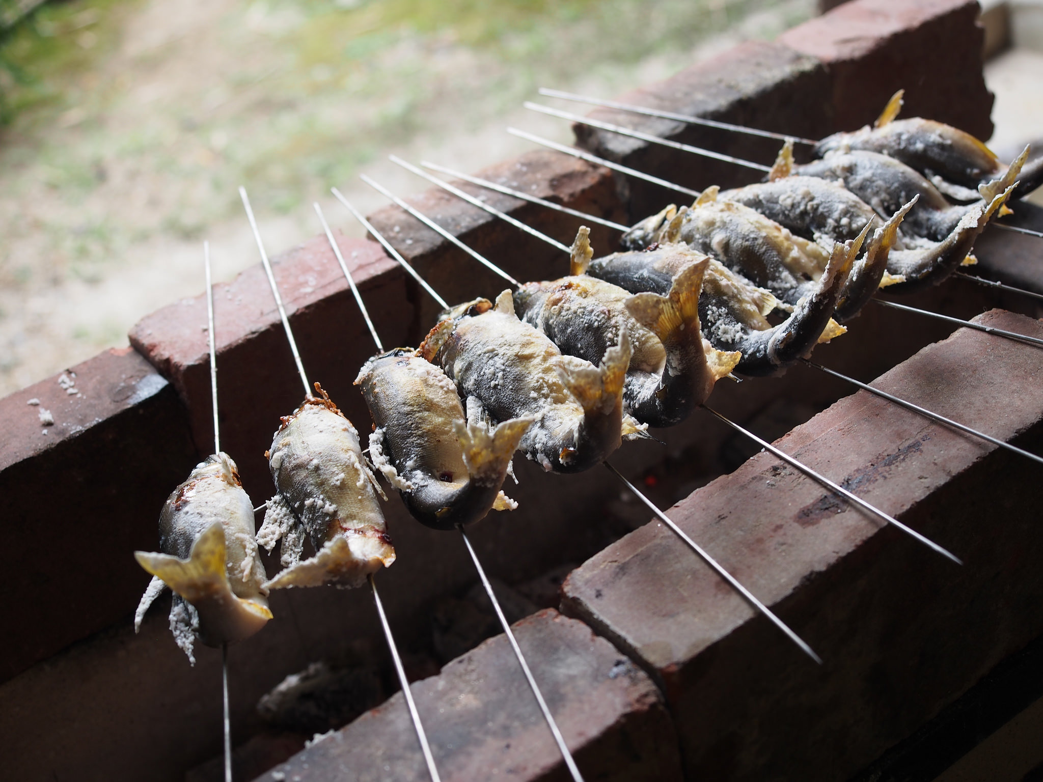Salt-grilled ayu cooking over the flame. ©TOKI