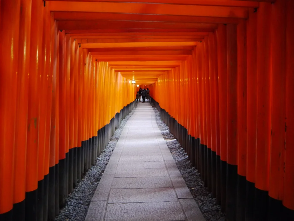 Nature & Seasons — Library articles — TOKI