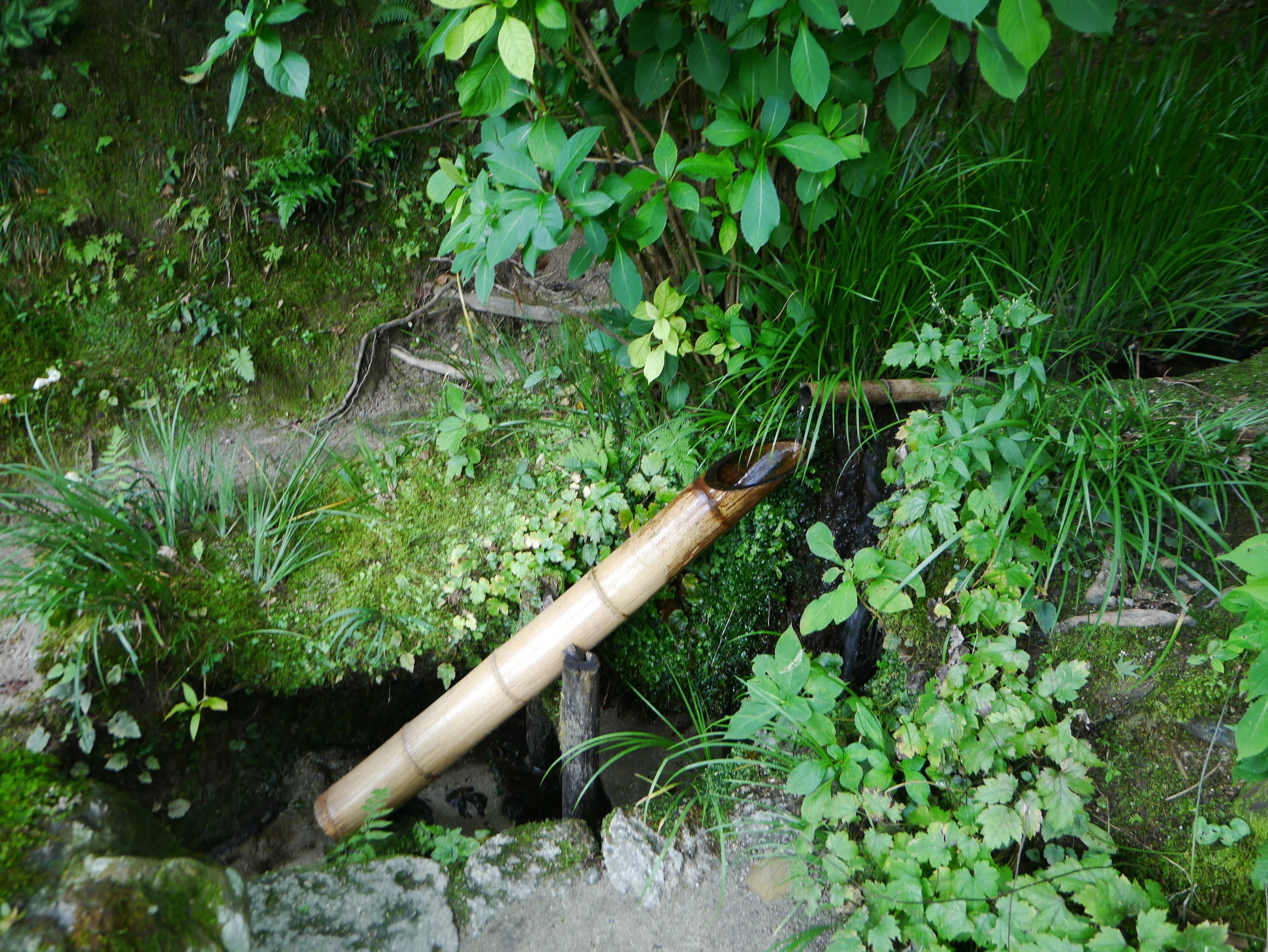Shishiodoshi adds a calming sound to the garden. ©TOKI