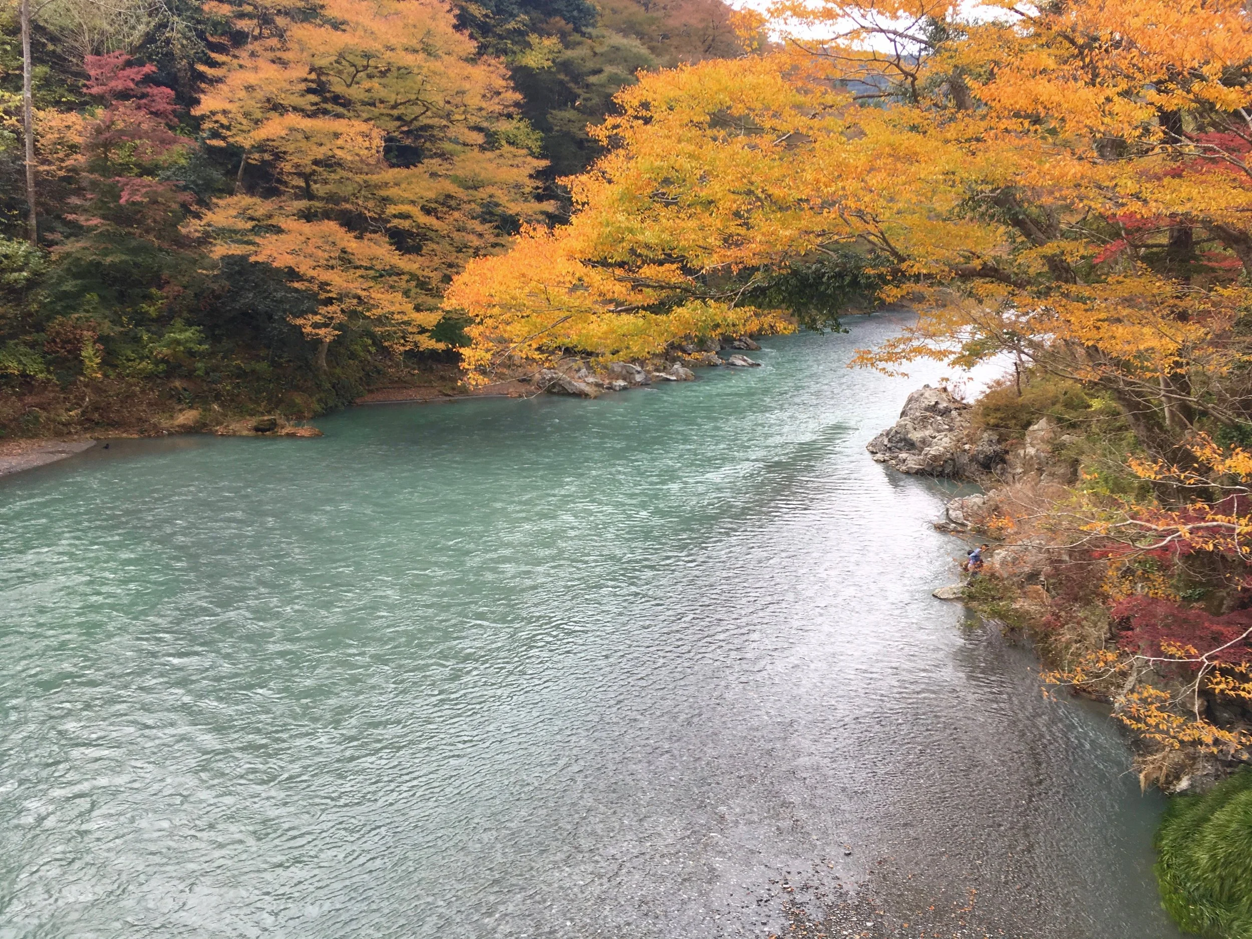 Beautiful fall foliage surrounding the crystal clear river that runs next to the brewery.