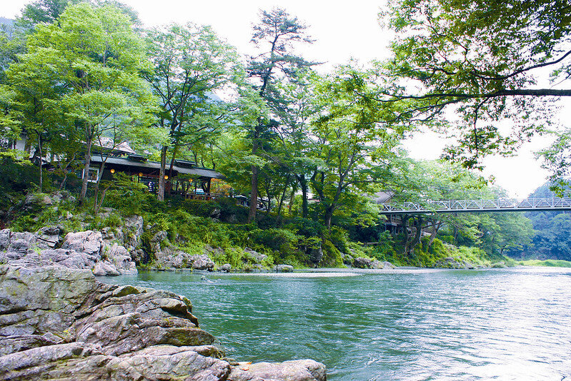 WildChina主催の「Top Travel Tips - Post COVID Education Travel」ウェビナー/WildChina Top Travel Tips - Post COVID Education Travel Seminar