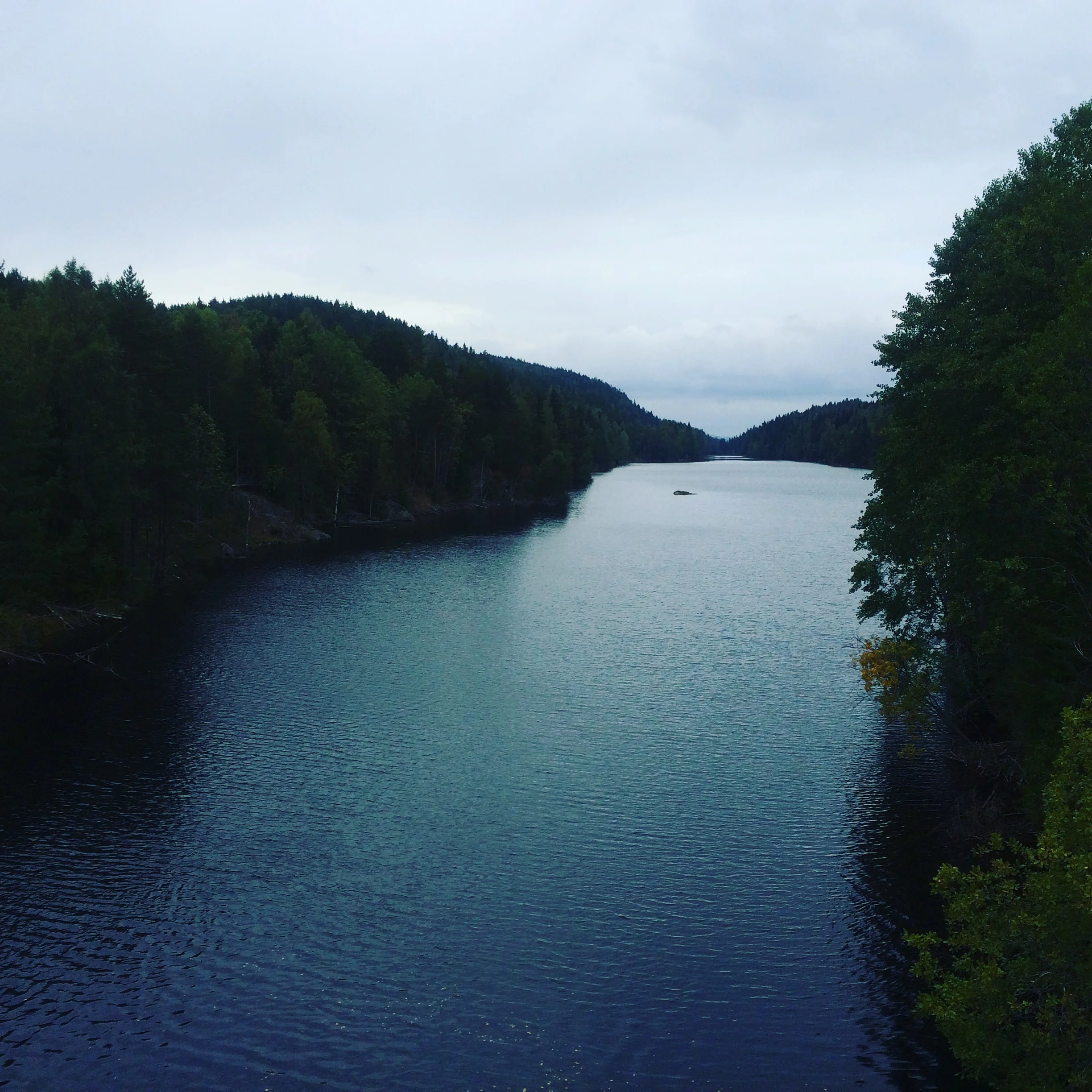 The forest near where I stayed
