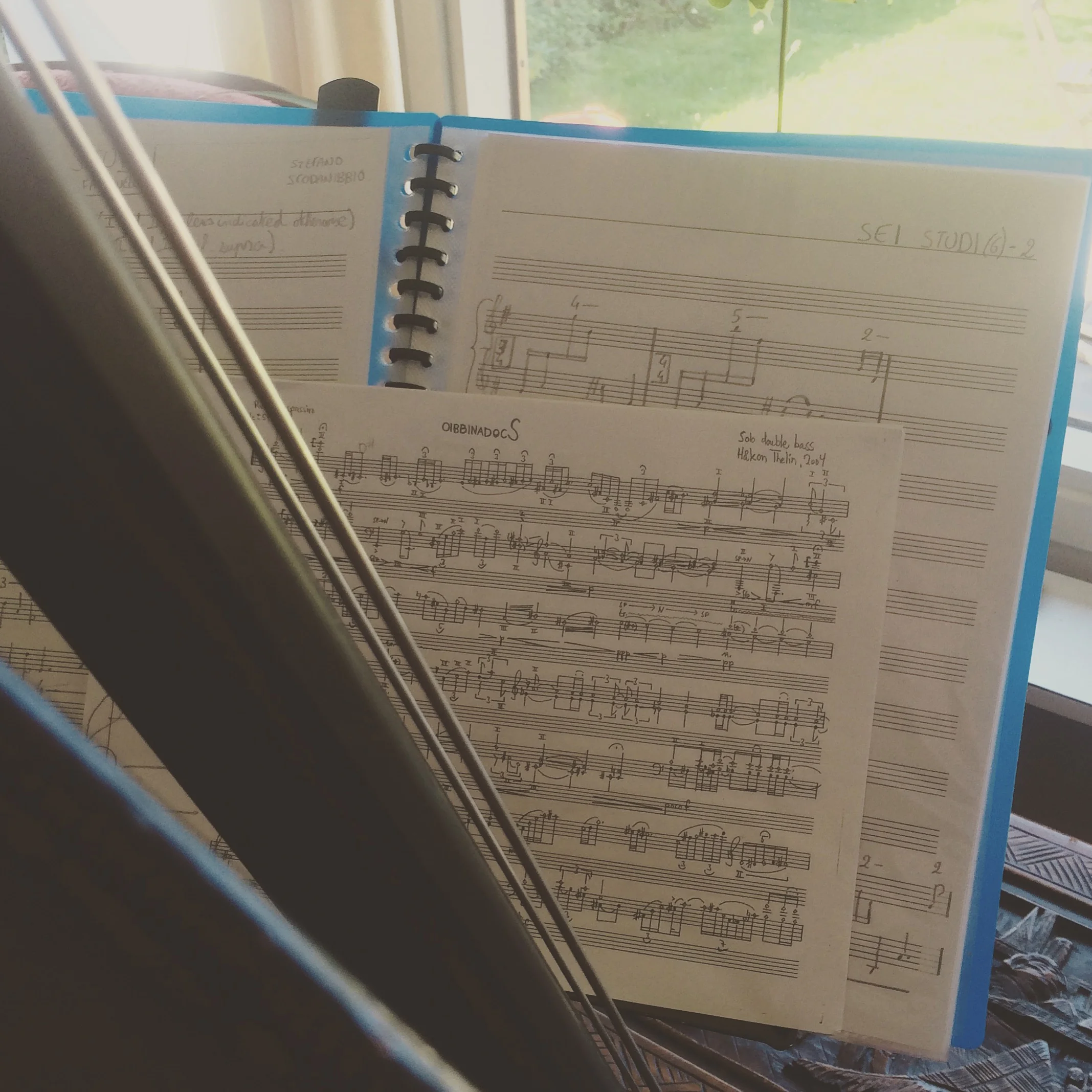 Practice vibes with the garden outside