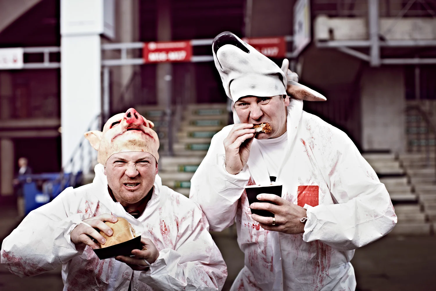 Rugby Fans