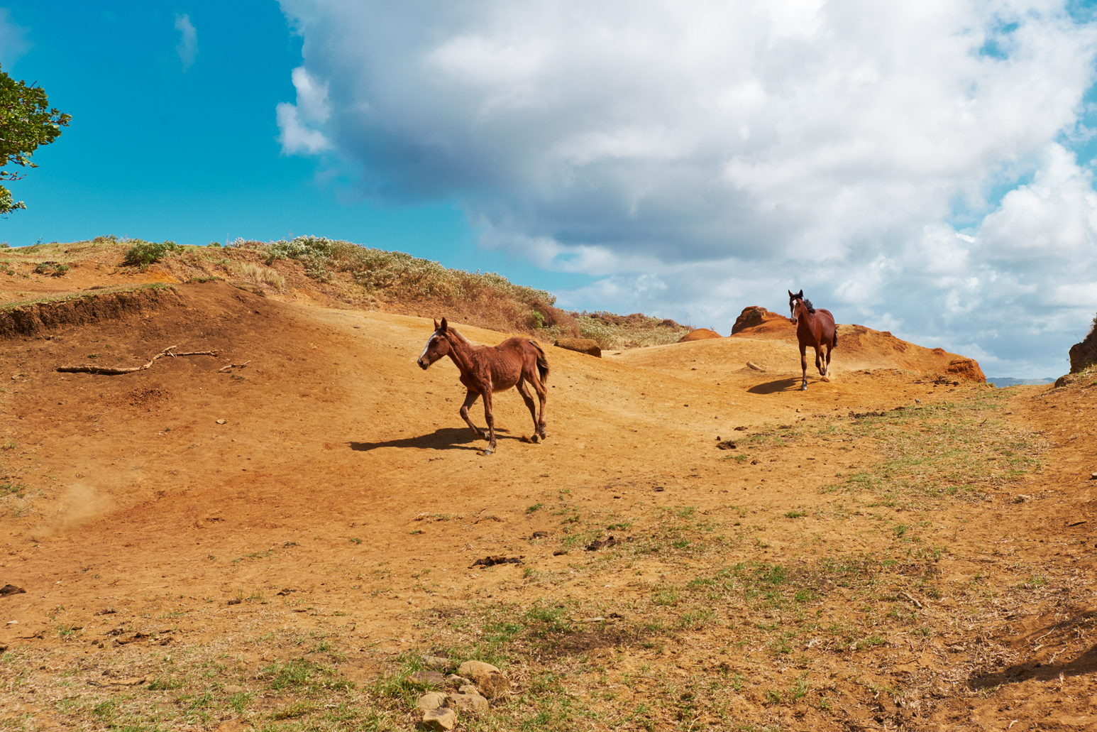 ONE OFF MAGAZINE - Easter Island