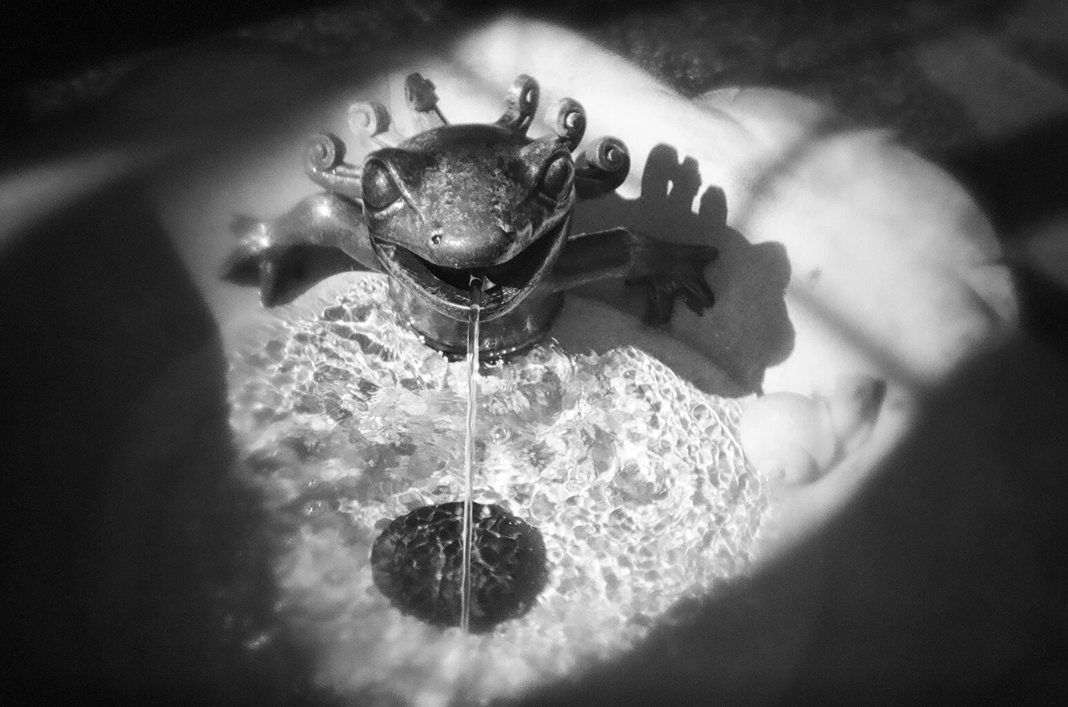 FrogFountain.JPG