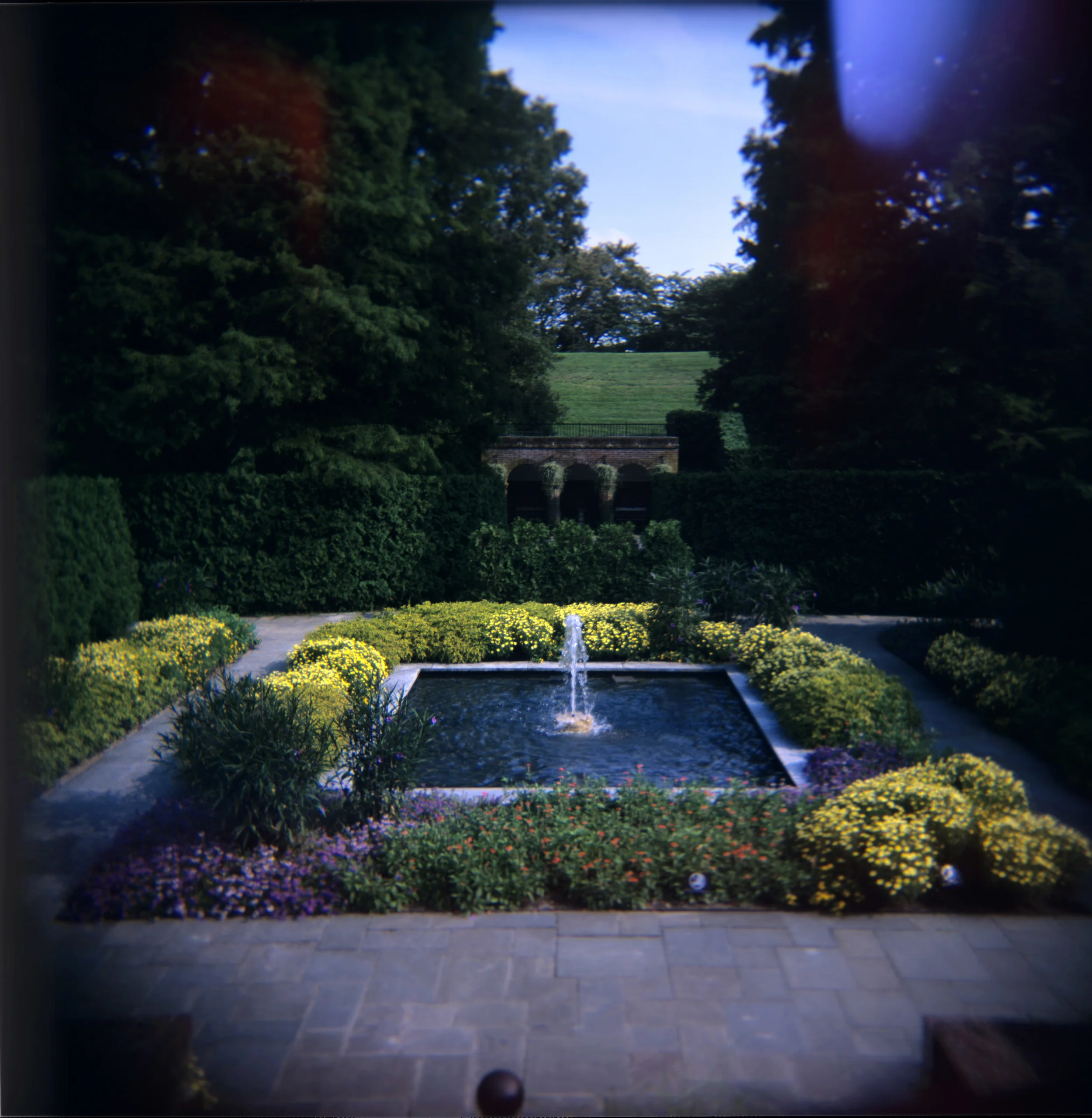 LongWood01.jpg