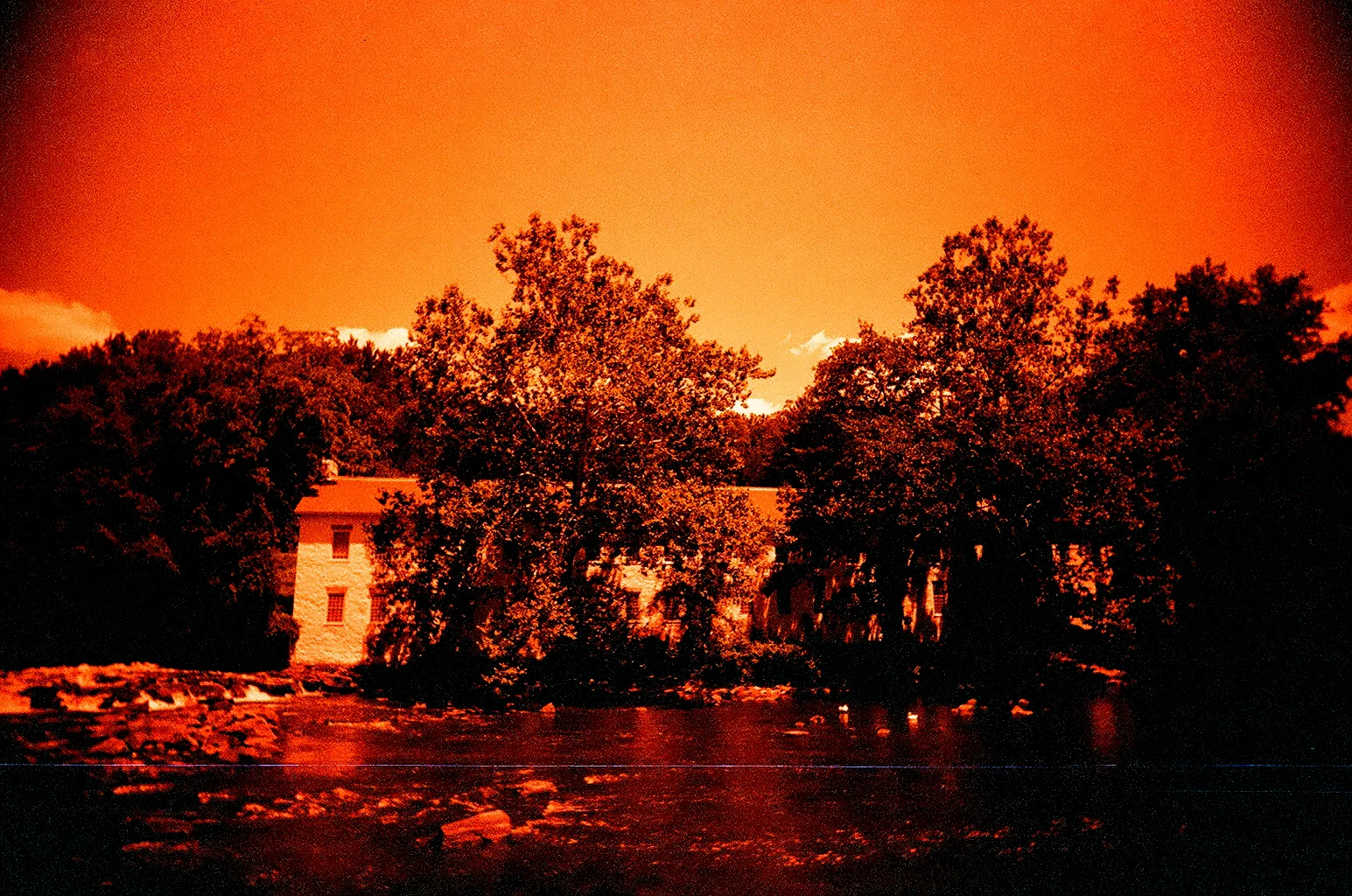 89240024.JPG